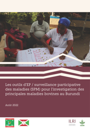 PRDAIGL_surveillance_SPM_Burundi.pdf.jpg