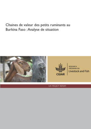 PR_SA_Burkinafaso_web.pdf.jpg