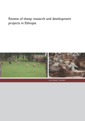 PR_sheep_in_Ethiopia.pdf.jpg
