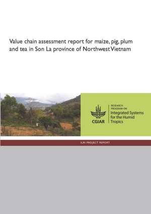 PR_value_chain_vietnam.pdf.jpg