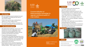 Padma.Biofermentation poster (FINAL).pdf.jpg