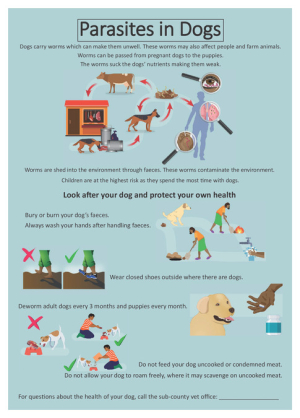 Parasites in dogs EN.pdf.jpg