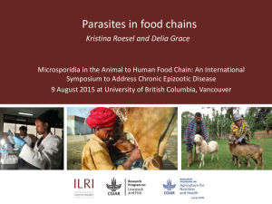 Parasites in food chains presentation.pdf.jpg