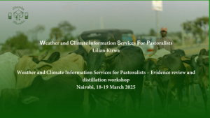 Pastoralist WCIS-Lilian.pdf.jpg