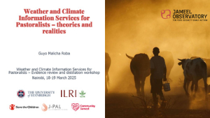 Pastoralist WCIS-guyo.pdf.jpg