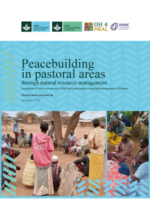 Peacebuilding in pastoral areas Ethiopia and Mali_.pdf.jpg
