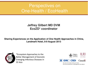 Perspectives one health ecohealth.pdf.jpg