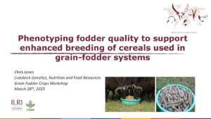 Phenotyping_fodder_2025.pdf.jpg