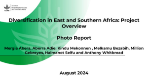 Photo report_UU Initative_2024.pdf.jpg