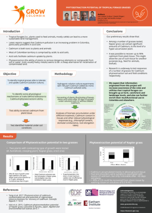 Phytoextraction potential of tropical forages.pdf.jpg