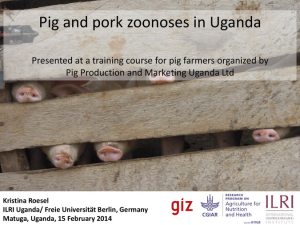 Pig pork zoonoses.pdf.jpg