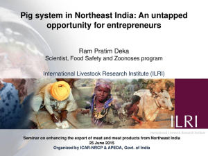 Pig system in NE India.pdf.jpg