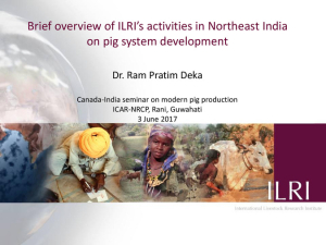 Pig system research India.pdf.jpg