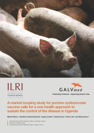 Pig vaccine.pdf.jpg