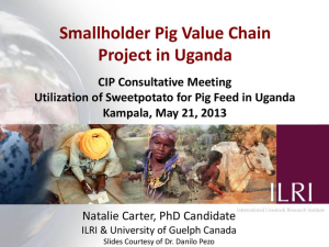 Pig value chain UG.pdf.jpg