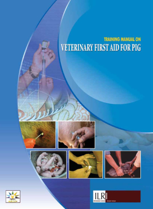 PigFirstAidSetting.pdf.jpg