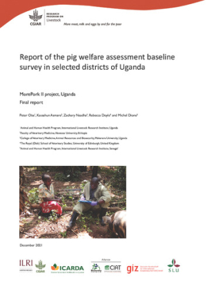 PigWelfareReport.pdf.jpg