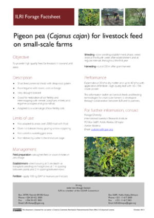 PigeonPea.pdf.jpg
