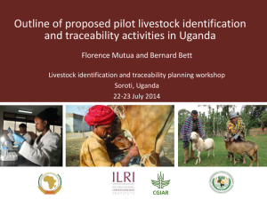 Pilot livestock identification and traceability Uganda.pdf.jpg