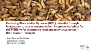 Platform_BSFL_inception_Tanzania.pdf.jpg