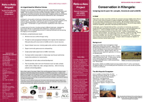 PolicyBrief1KitengelaLeaseProgramme.pdf.jpg