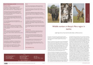 Policy_Brief_PrintV.pdf.jpg
