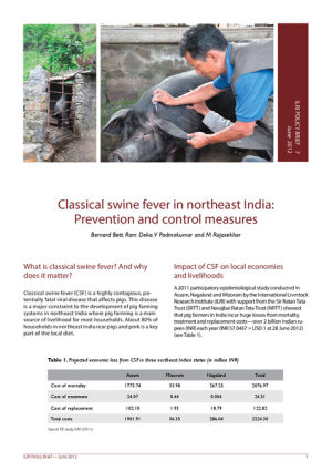 PolicybriefSwineFever.pdf.jpg