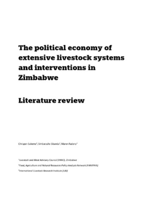 PoliticalEconomy_Zimbabwe May 2025.pdf.jpg