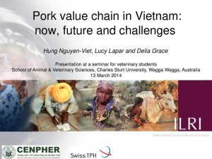 Pork value chain in Vietnam.pdf.jpg