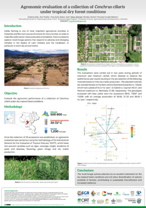 Poster - Agronomic evaluation of a collection ofCenchrus ciliarisunder tropical dry forest conditions_web.pdf.jpg