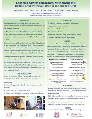 Poster Gendered Constraints.pdf.jpg