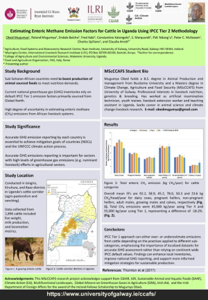 Poster_EF_Cattle in Uganda..pdf.jpg