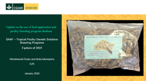 Poultry breeding program.png