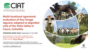 Presentation - Multi-locational agronomic evaluation of four forage legumes adapted to degraded soils of the Patía Valley in Cauca Colombia.pdf.jpg