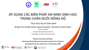 Presentation_Vietnamese.pdf.jpg