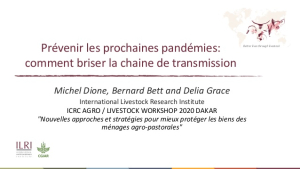 Preventing pandemics.jpg