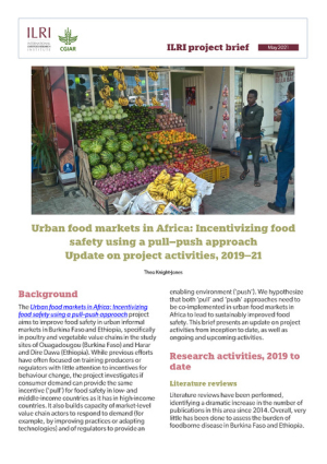 Pull-push project update May 2021.pdf.jpg