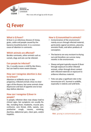 Q-Fever.pdf.jpg