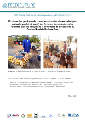 REPORT_Dione_Pratiques_2023_05.pdf.jpg