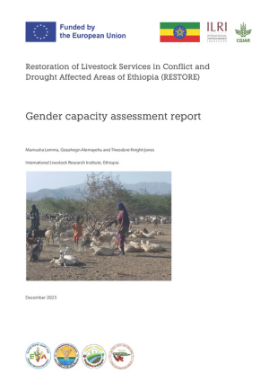 RESTORE_GenderCapacityAssessmentReport.pdf.jpg