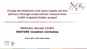 RESTORE_Inception_workshop.pdf.jpg