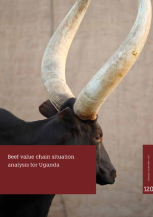 RR120_Situational Analysis Beef Value Chain.pdf.jpg