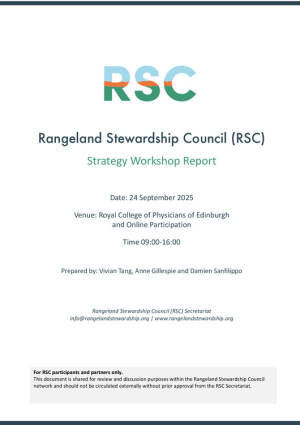 RSC Strategy Workshop Report.pdf.jpg