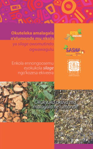 RTB-ENDURE-Improved-tube-silage-making-brochure-Luganda.pdf.jpg