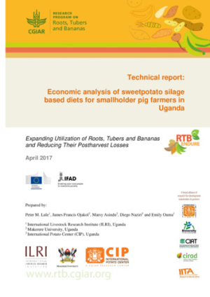 RTB-ENDURE-TReport-Economic-analysis-of-sweetpotato-silage-based-diets.pdf.jpg