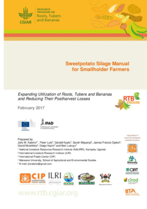 RTB-Endure-Sweetpotato-silage-Manual-for-Smallholders-Farmers.pdf.jpg