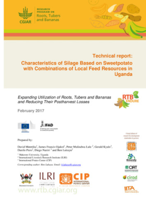 RTB-Endure-TReport-Characteristics-Silage-Based-Sweetpotato.pdf.jpg