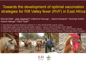 RVF vaccination strategies.pdf.jpg