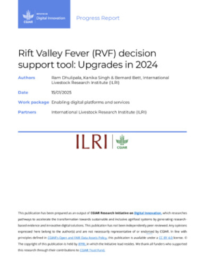 RVF_decisionSupportTool_Upgrades2024.pdf.jpg
