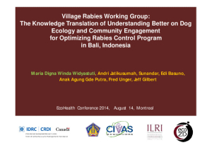 Rabies control program Indonesia.pdf.jpg